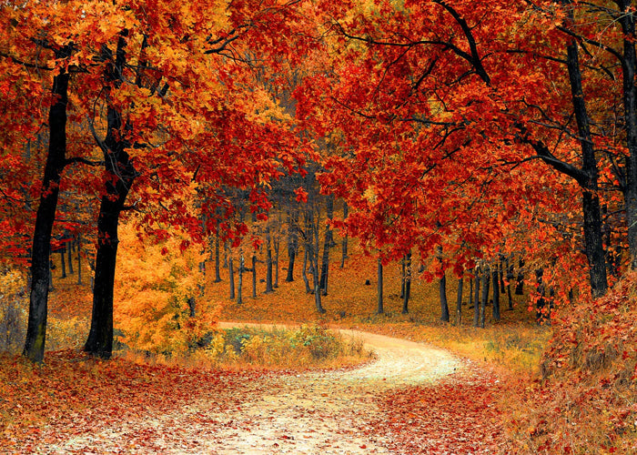 Is that Fall or Autumn?