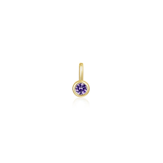 February Birthstone Charm Pendant